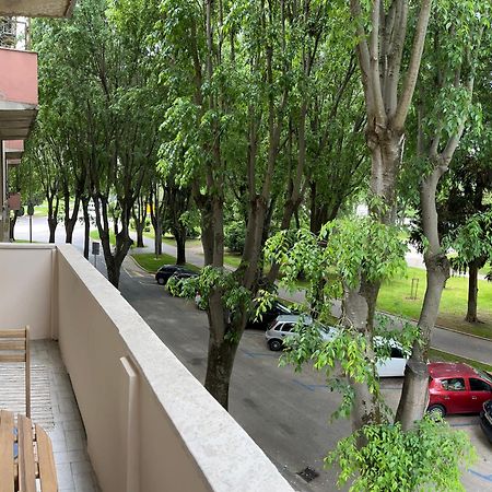 Apartments Incis Next To The Pula Amphitheather Exteriör bild